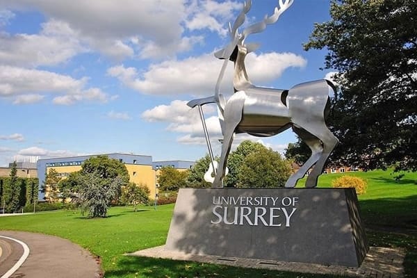 img_1256 University of Surrey
